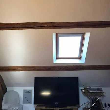 Charming In Center Apartment Dijon