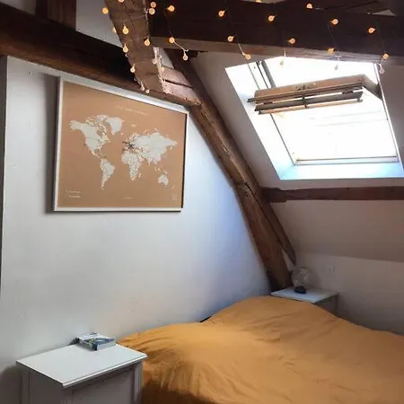 Charming In Center Apartment Dijon