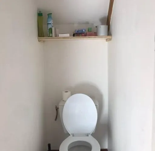 Charming In Center Dijon