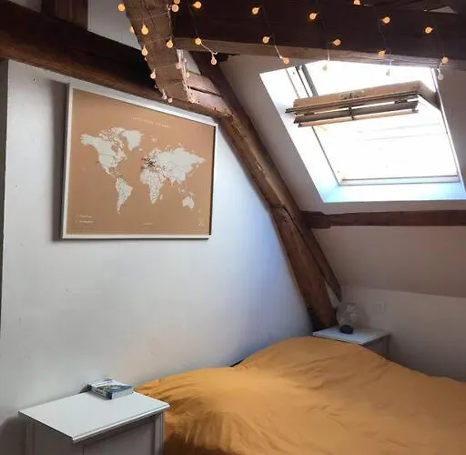 Charming In Center Apartament Dijon